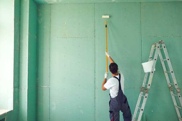 Best Emergency Mold Remediation  in Oak Grove, LA