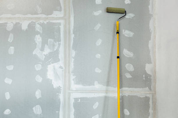 Oak Grove, LA Mold Removal Company