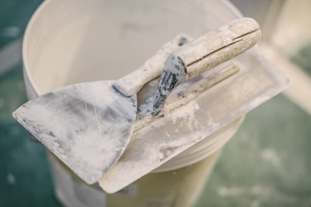 Best Mold Removal for HVAC Installations  in Oak Grove, LA
